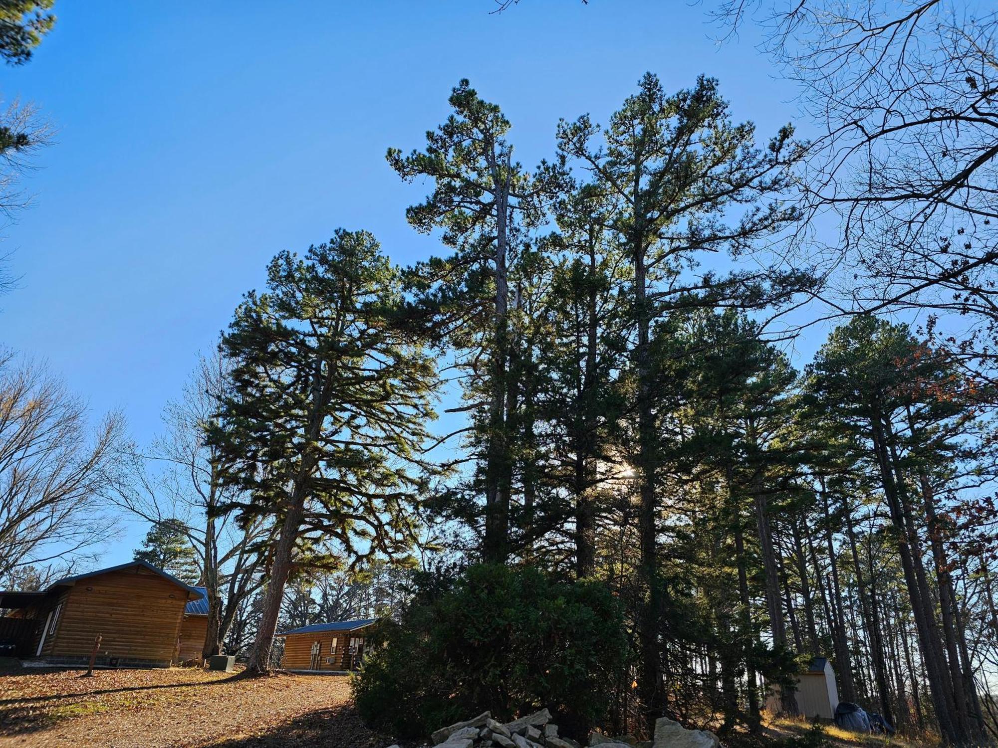 5 Min To Beaver Lake-King Bed-Fire Pit-Jetted Tub #3 Eureka Springs Esterno foto