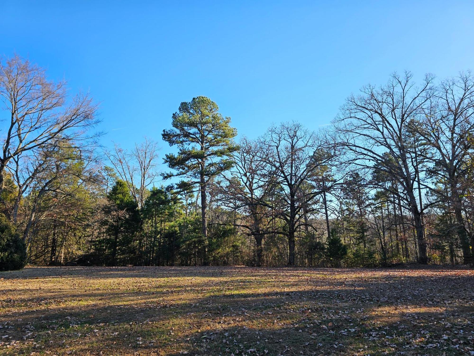 5 Min To Beaver Lake-King Bed-Fire Pit-Jetted Tub #3 Eureka Springs Esterno foto